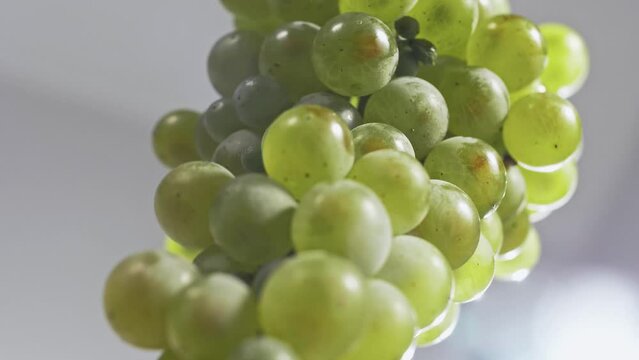 Rotation of white wine grapes on a branch around its axis. Close-up. White background