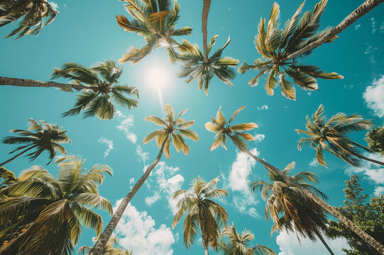 Upward view of tall palm trees against a sunny blue sky. Tropical climate and summer vacation concept. Design for travel brochure, postcard, and nature photography portfolio, Generative ai