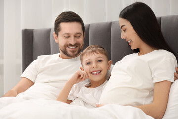 Obraz premium Pregnant woman with her son and husband in bed at home. Happy family