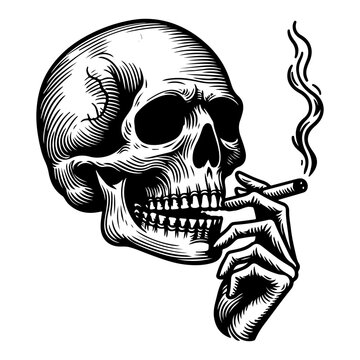 recommend clip art: hand draw sketch black line art skull crossbones with cigarette or smoking vector illustration on isolated in white background