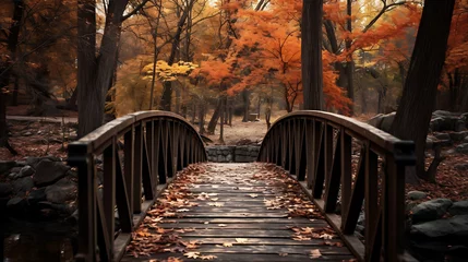 Fototapeten wooden bridge in autumn forest © SHAPTOS