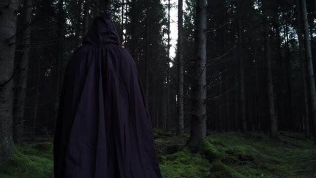Dark hooded person walks through dark pine tree forest with mossy ground in slowmotion