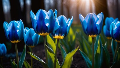 AI generated photo of blue Tulips