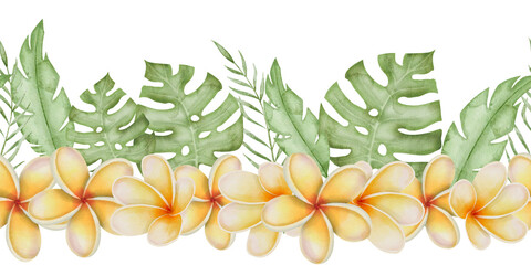Plumeria Flower Watercolor seamless Border. Hand drawn on isolated background. Frangipani template...