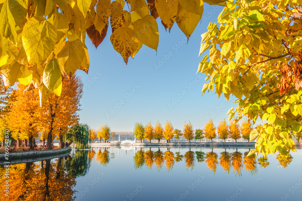 Poster Fantastic morning promenade with autumn trees on the lake. Ternopil, Ukraine, Europe.