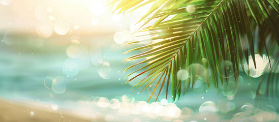 Fototapeta na wymiar Beach palm casting reflections on glistening water