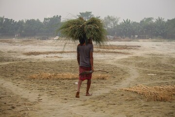 A man carrying a bundle of grass on his head - Powered by Adobe