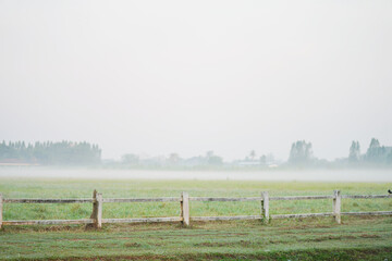 misty morning in the field