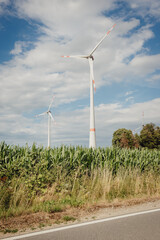 Windkraftanlage in einem Maisfeld im Münsterland, Kreis Coesfeld, Baumberge