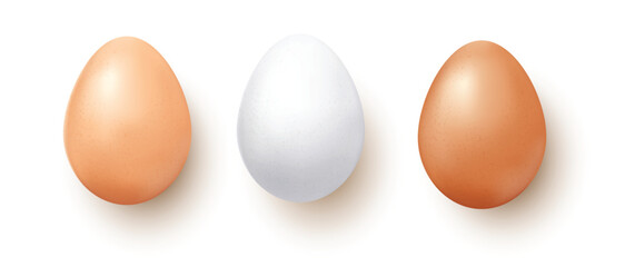 Set vector realistic of three chicken eggs