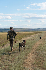 Mature man hunter with gun while walking on field with your dogs