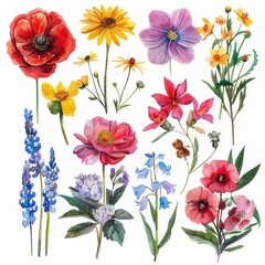 A clipart illustration with various watercolor flowers on a white background.