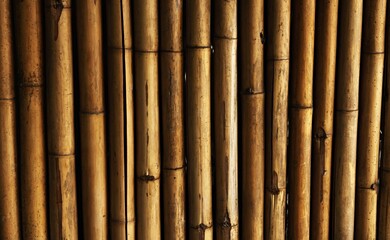 A row of bamboo sticks with a brownish hue