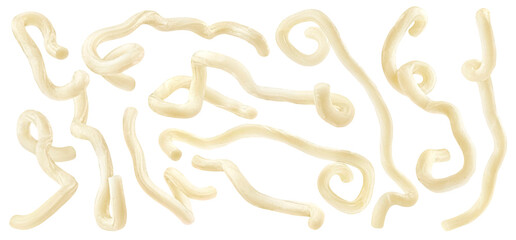 Udon noodles isolated on white background with clipping path