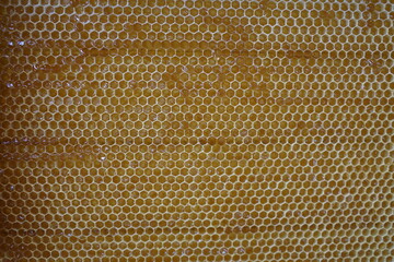 honeycomb background