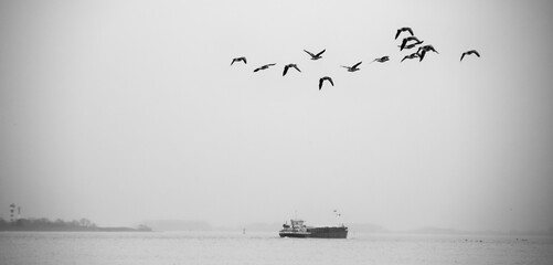 Elbe © helmut Schmidt