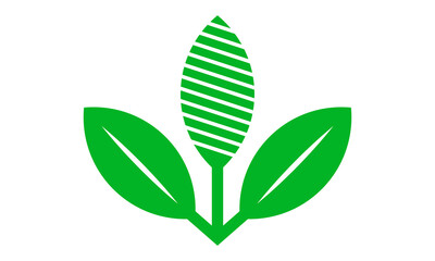 leaf vector logo illustration