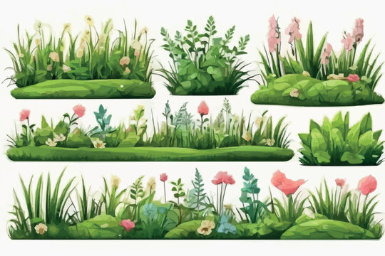 Green Grass flat icon set. Wild meadow herbs, flowers isolated on white background, Leaf borders, flower elements, nature background vector illustration. Green land concept for template design
