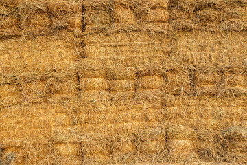 A close-up view of the background of many bales of compressed rice straw stacked.