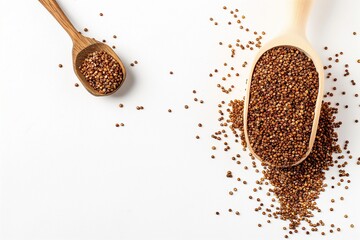 Scoop with raw quinoa grains on white background, Scoop with raw quinoa grains with copy space, Raw quinoa grains isolated 