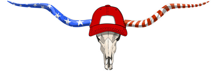 Texas longhorn skull Texas cow head with the stars and stripes of the USA flag isolated on transparent background ready for print