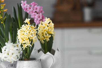 Spring hyacinth flowers on a white table. In the background is a white Scandinavian-style kitchen....