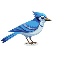 Blue jay Bird flat vector illustration