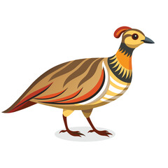 Chukar Bird flat vector illustration