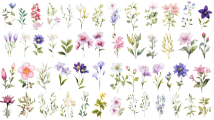 Set of watercolor wildflowers painting isolated on clear png background and transparent background. Fresh and nature concept for nature decorative and flower element, AI generative.