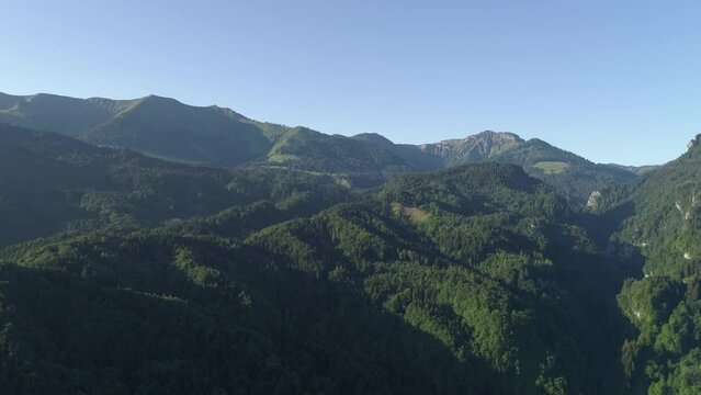 Aerial Flight Adove High Mountain Forest. Exploring Alps