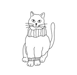 Vector isolated one single cute funny cat in sweater cloths colorless black and white contour line easy drawing