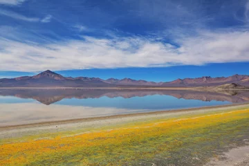Fotobehang Lake in Chile © Galyna Andrushko