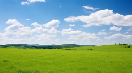 Green field with blue sky