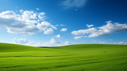 Fototapeta na wymiar Green field with blue sky 