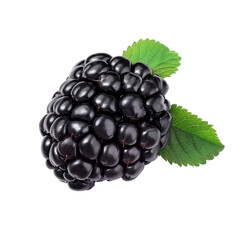 A ripe blackberry with green leaves, partially obscured by a grey square, isolated on a transparent white background