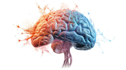 
Educational programs that use AI help to simulate brain diseases such as Alzheimer's, paralysis, or abnormal brain muscles. To assist in the study and analysis of disease effects in simulated images.