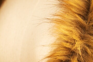 A close up of a lion's mane with a tan and brown color