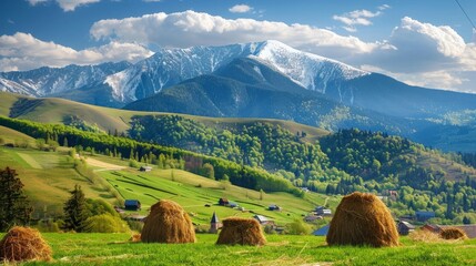 rural area in Carpathian mountains. haystacks on grassy agricultural fields. village down in the valley. mountain with snowy top on a beautiful springtime day - obrazy, fototapety, plakaty