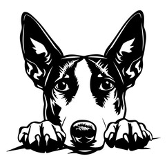 basenji dog face peeking over front paws vector illustration