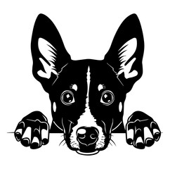 Obraz premium basenji dog face peeking over front paws vector illustration