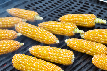 Fototapeta premium grilled corn. a large amount of fresh corn lie on the grill on the street, food concept