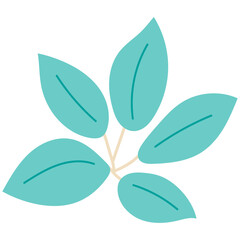 Leaf plant element for beautiful design. Simple form. Vector drawing.