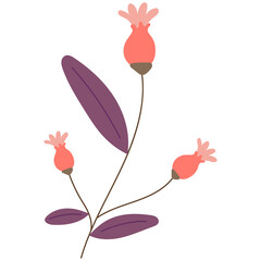 Decorative flower. Floral plant element for beautiful design. Simple form. Vector drawing.