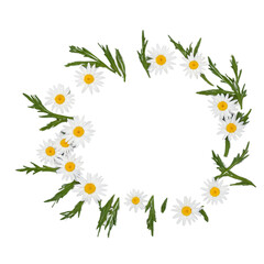 a circle of daisies, a text frame. transparent background