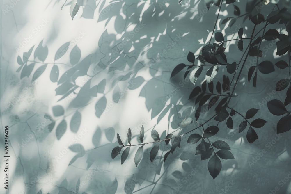 Poster a shadow of a tree projected on a wall. suitable for nature or abstract concepts