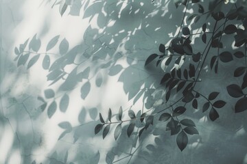A shadow of a tree projected on a wall. Suitable for nature or abstract concepts