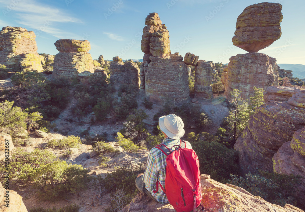 Canvas Prints Chiricahua