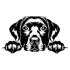 labrador retriever dog face peeking over front paws vector illustration
