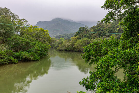 LRiver view and trees