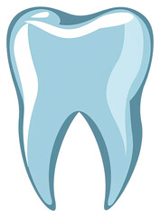 Tooth Model for Educational Demonstrations. Isolated on a Transparent Background. Cutout PNG.